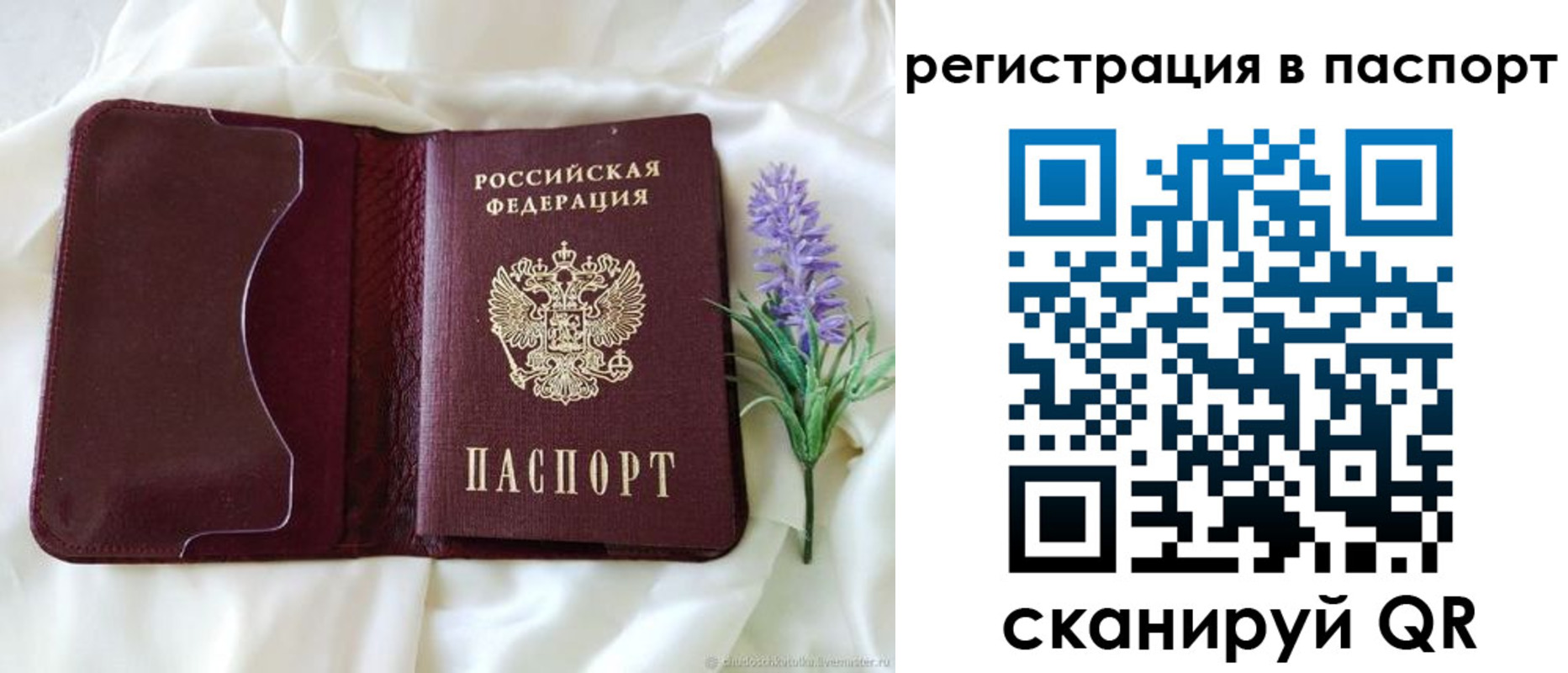 временная регистрация для всех в Стародубе